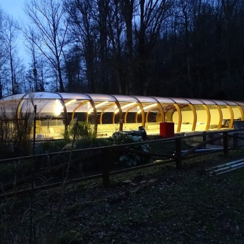 led option